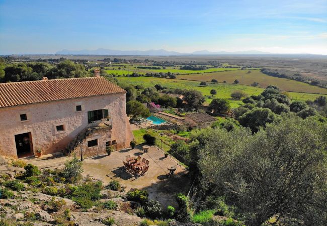 Blicke von der Finca in Alcudia Blicke von der Finca in Alcudia