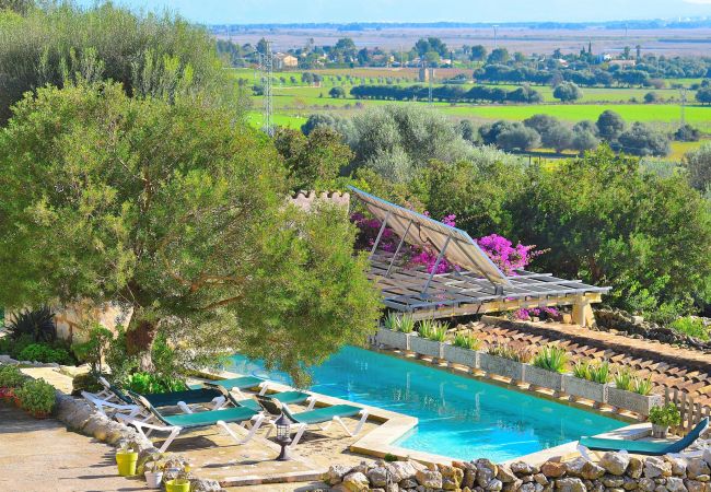 Wunderschöner Blick vom pool der Finca in Alcudia Wunderschöner Blick vom pool der Finca in Alcudia