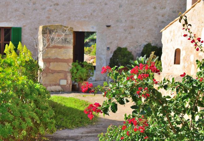 Garten der Finca in Alcudia Garten der Finca in Alcudia