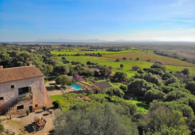Luftaufnahme des Bereichs, in dem sich die Finca von Alcudia befindet. Luftaufnahme des Bereichs, in dem sich die Finca von Alcudia befindet.