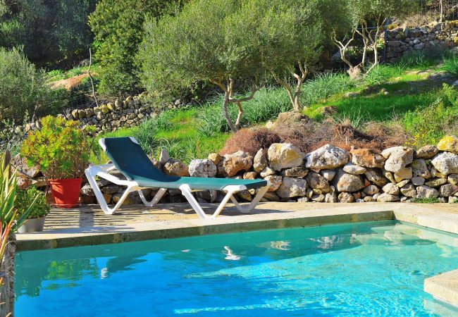 Schönes Foto des pools der Finca in Alcudia Schönes Foto des pools der Finca in Alcudia