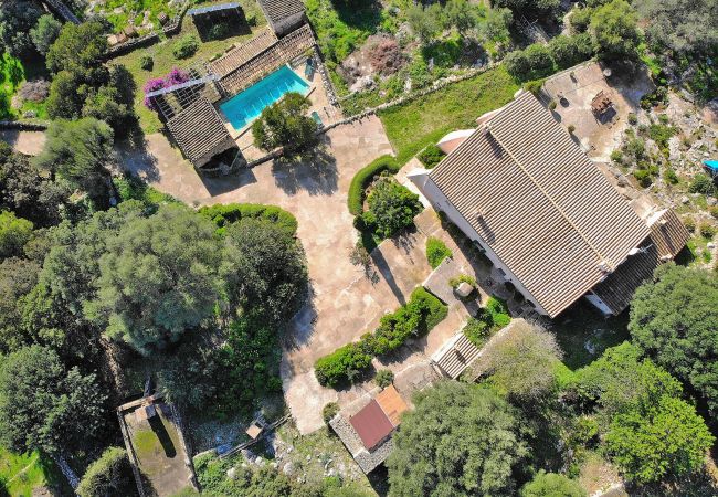Luftaufnahme der gesamten Villa in Alcudia Luftaufnahme der gesamten Villa in Alcudia