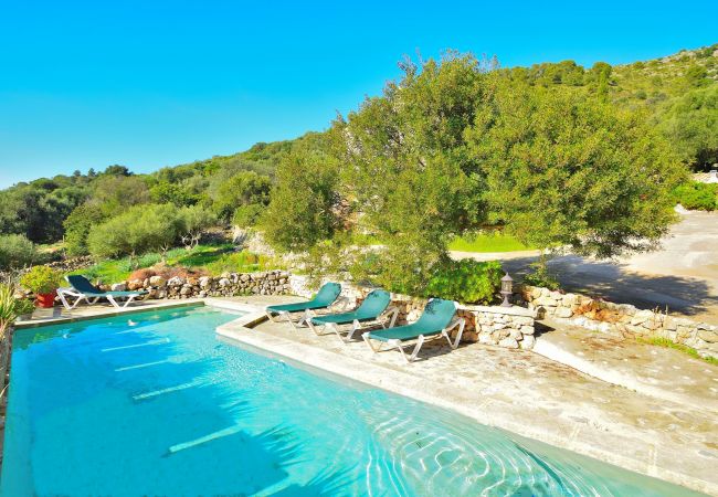 Pool der Finca in Alcudia Pool der Finca in Alcudia
