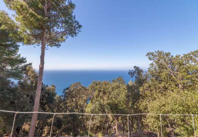 Finca in Valldemossa - Son Galceran Petit, Finca 5StarsHome Mallorca Finca in Valldemossa - Son Galceran Petit, Finca 5StarsHome Mallorca