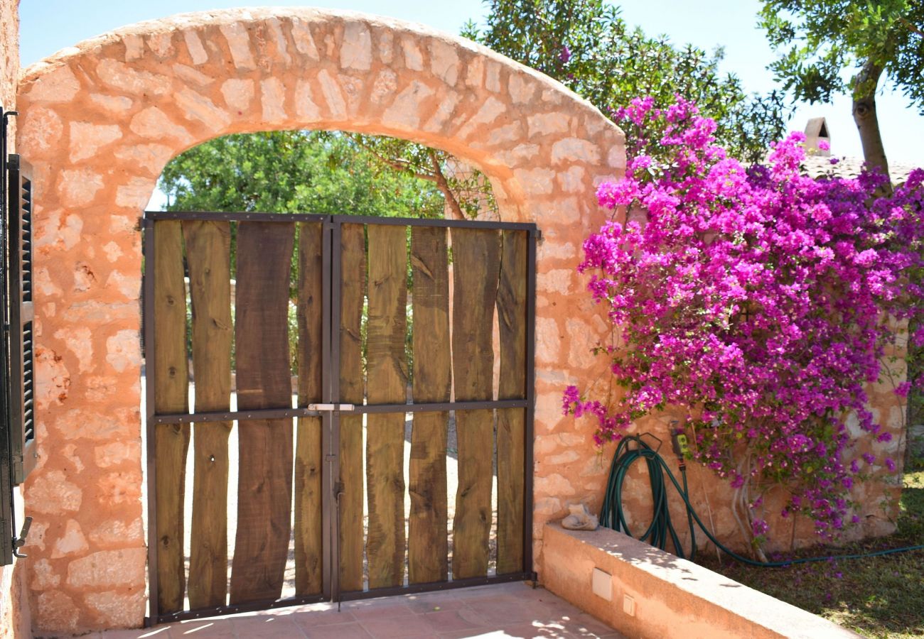 Villa in Santa Maria del Cami - Villa Siscelis 063 by Mallorca Charme