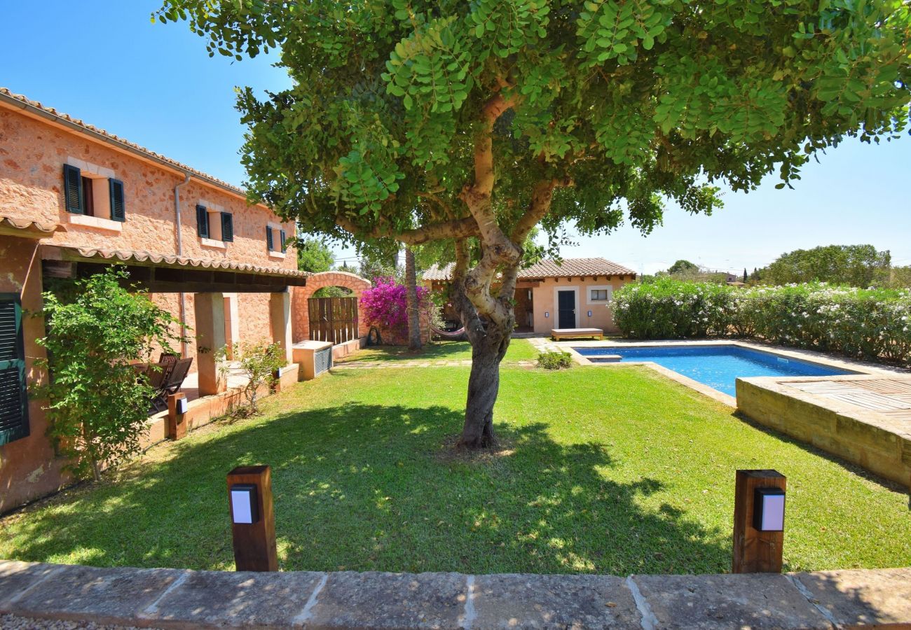 Villa in Santa Maria del Cami - Villa Siscelis 063 by Mallorca Charme