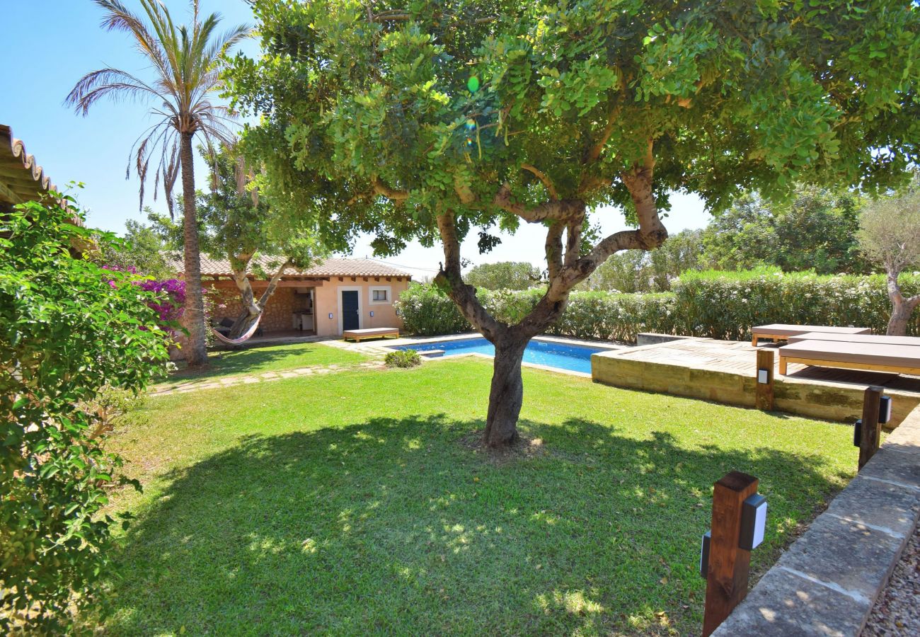 Villa in Santa Maria del Cami - Villa Siscelis 063 by Mallorca Charme