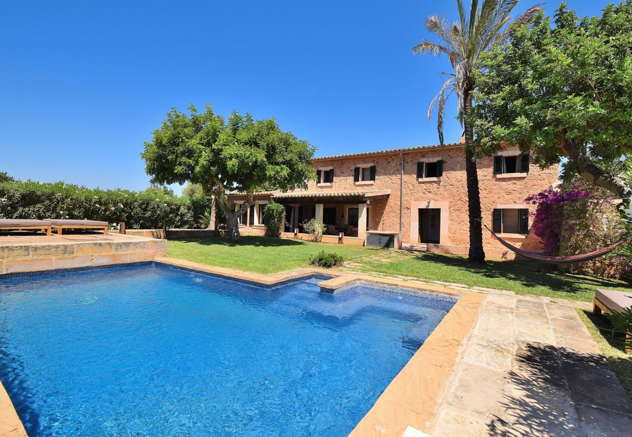 Villa in Santa Maria del Cami - Villa Siscelis 063 by Mallorca Charme