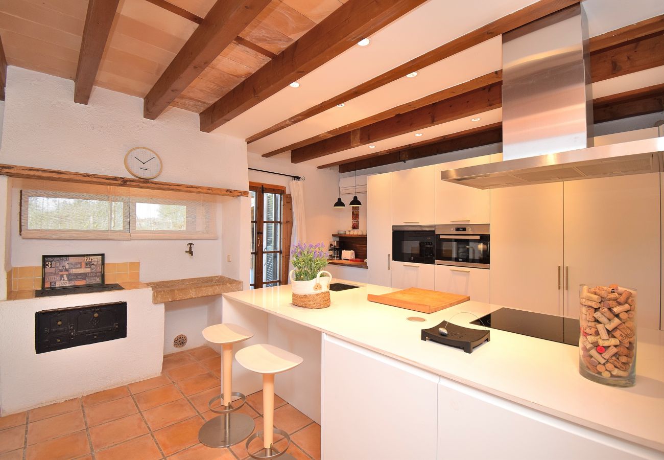 Villa in Santa Maria del Cami - Villa Siscelis 063 by Mallorca Charme