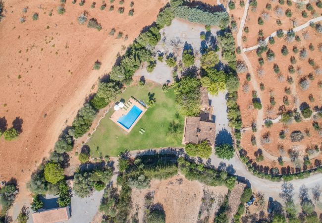 Finca in Manacor - Sestador Blat, Finca 5StarsHome Mallorca Finca in Manacor - Sestador Blat, Finca 5StarsHome Mallorca