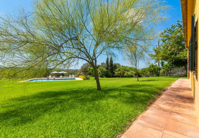 Finca in Manacor - Sestador Blat, Finca 5StarsHome Mallorca Finca in Manacor - Sestador Blat, Finca 5StarsHome Mallorca
