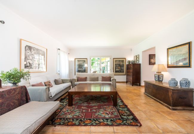 Finca in Manacor - Sestador Blat, Finca 5StarsHome Mallorca Finca in Manacor - Sestador Blat, Finca 5StarsHome Mallorca