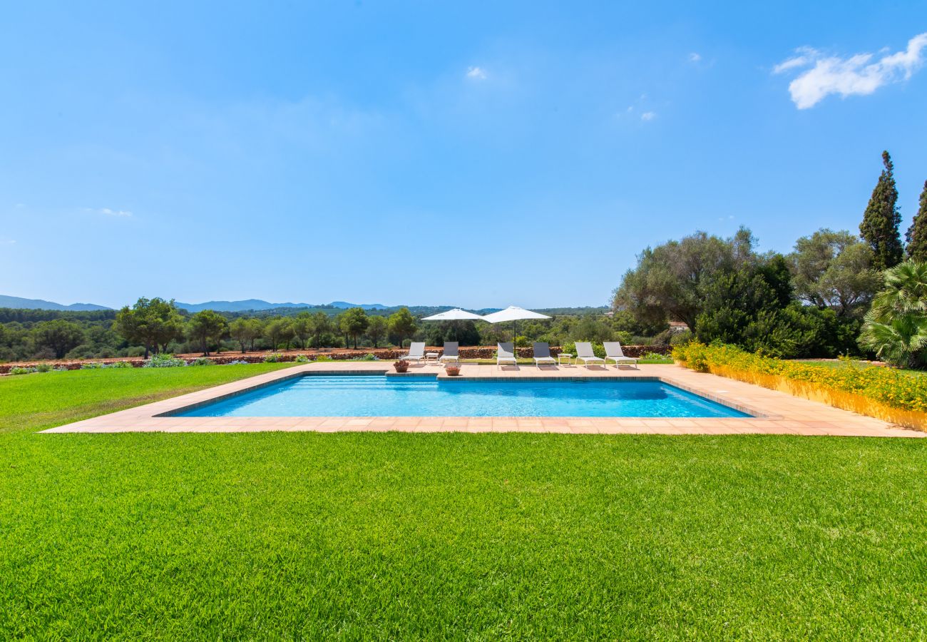 Finca in Manacor - Sestador Blat, Finca 5StarsHome Mallorca