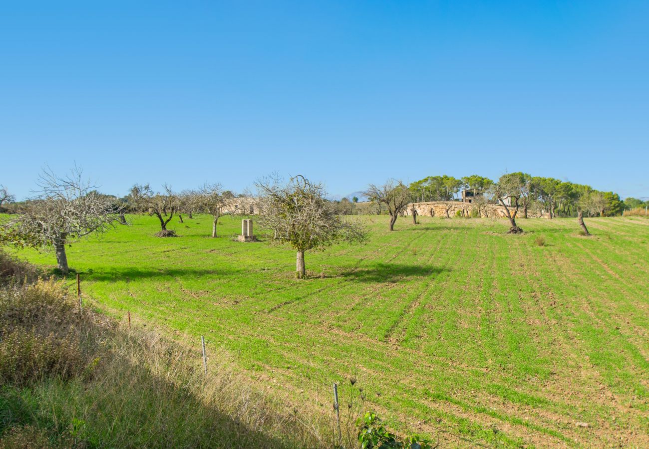 Finca in Santa Margalida - C270 Son Vado by Mallorca Villa Selection