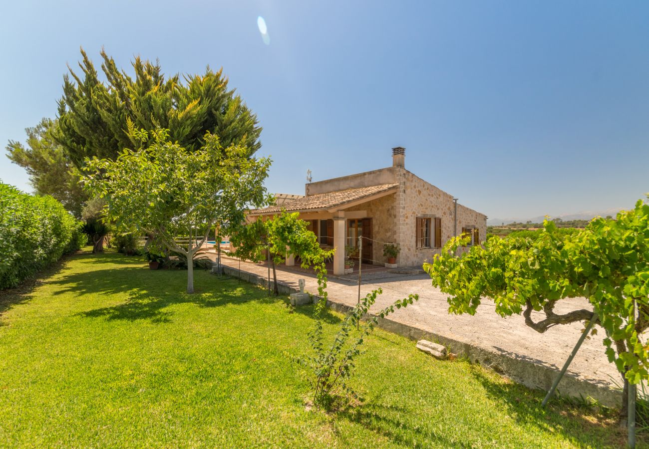 Finca in Santa Margalida - Sa Cova Dor, Finca 5StarsHome Mallorca