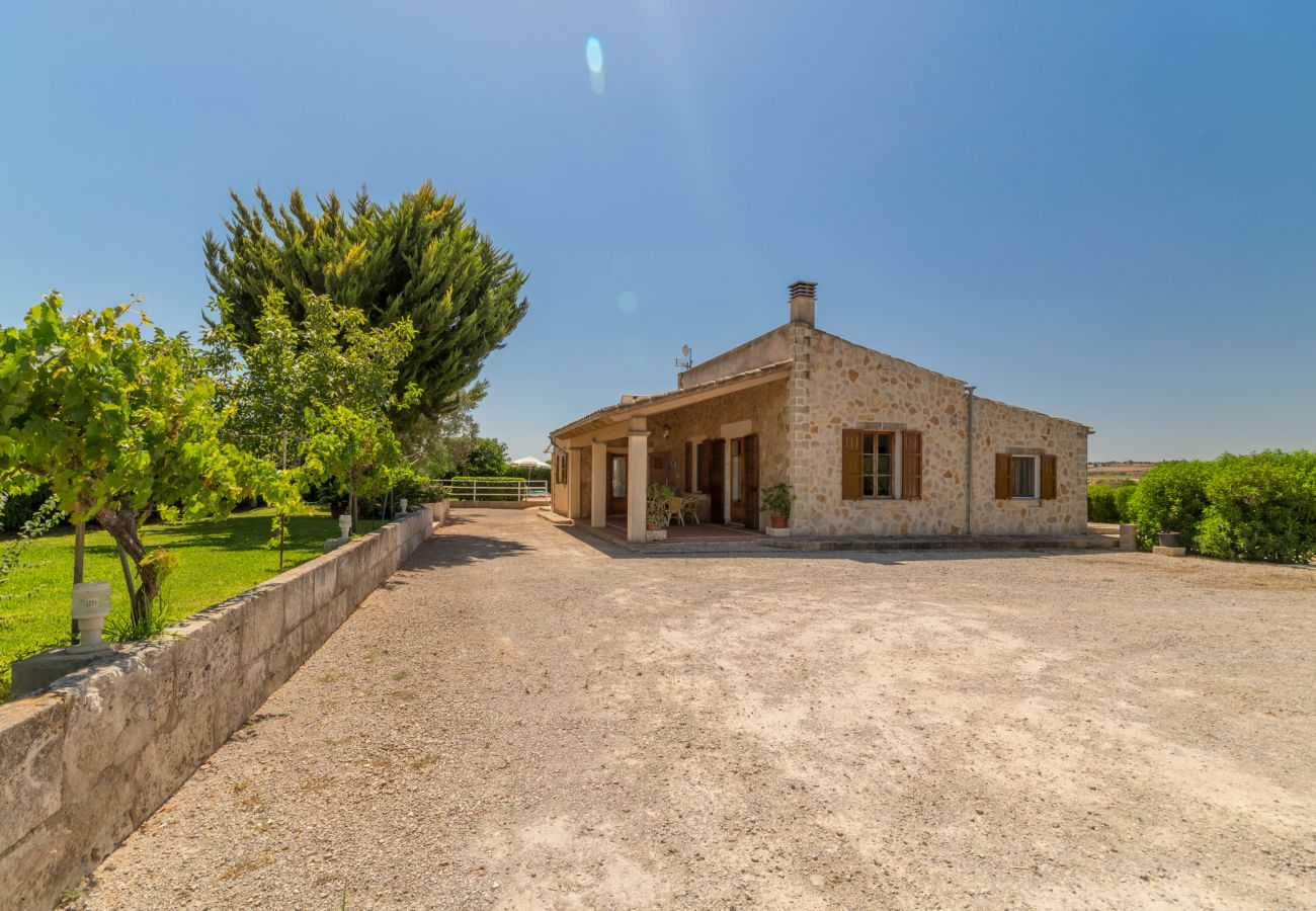 Finca in Santa Margalida - Sa Cova Dor, Finca 5StarsHome Mallorca