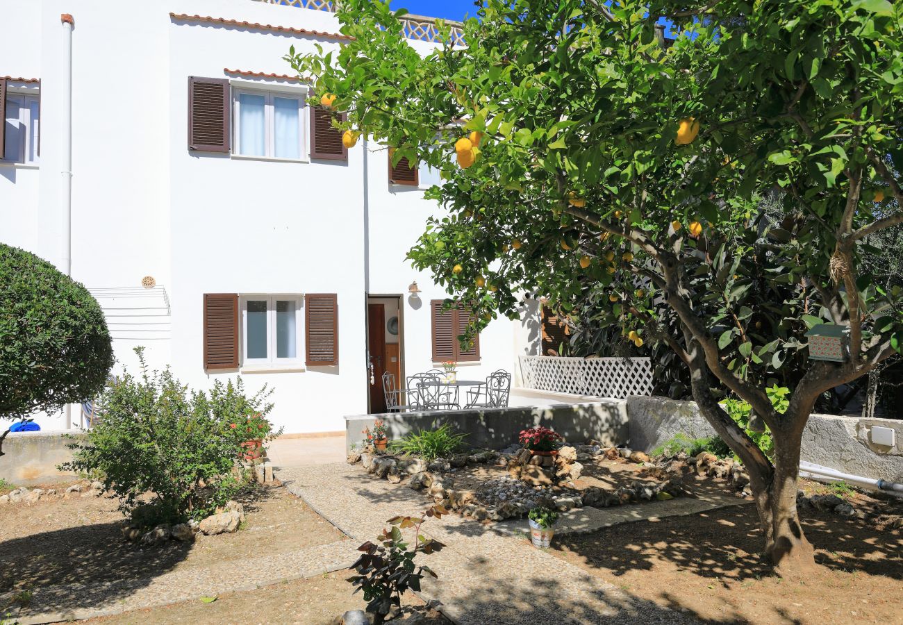 Stadthaus in Alcudia - C292 Xim by Mallorca Villa Selection