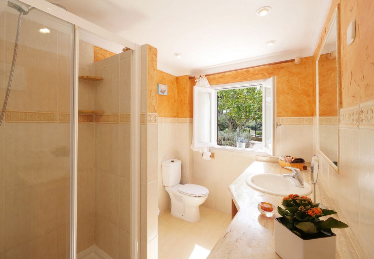 Stadthaus in Alcudia - C292 Xim by Mallorca Villa Selection