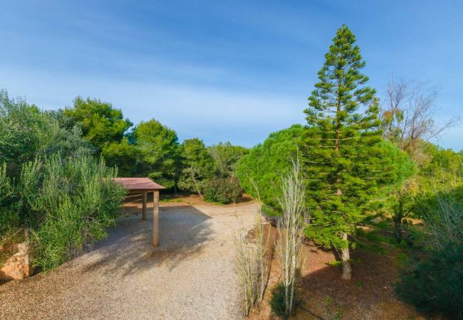Finca in Santanyi - C293 Es Figueral by Mallorca Villa Selection Finca in Santanyi - C293 Es Figueral by Mallorca Villa Selection