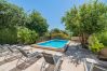 Ferienhaus in Pollensa / Pollença - CASA TORRES  Ref. POL01 Ferienhaus in Pollensa / Pollença - CASA TORRES  Ref. POL01