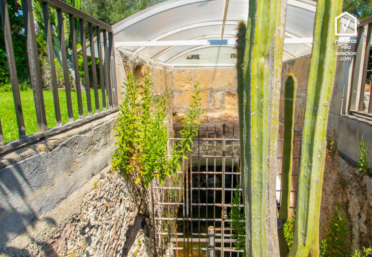 Finca in Alcudia - E323 Moli Den Fanals by Mallorca Villa Selection