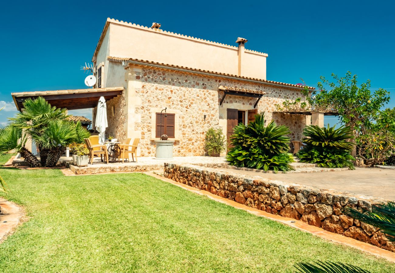 Finca in Can Picafort - C326 Carritx by Mallorca Villa Selection