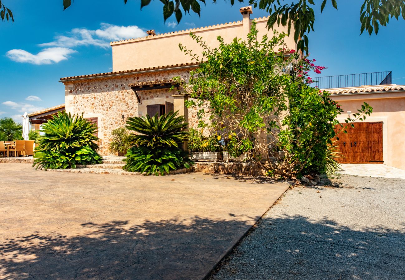 Finca in Can Picafort - C326 Carritx by Mallorca Villa Selection