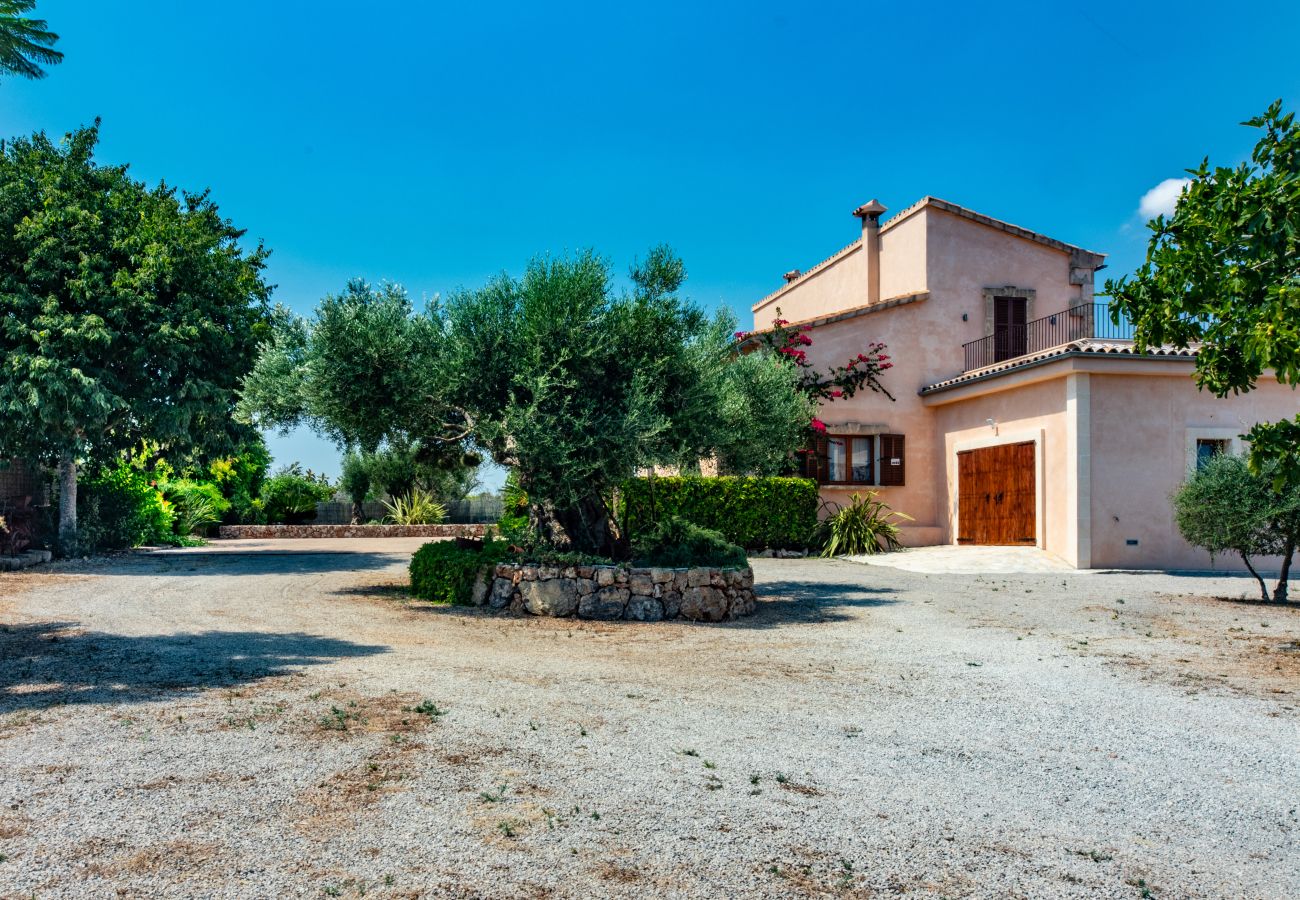 Finca in Can Picafort - C326 Carritx by Mallorca Villa Selection