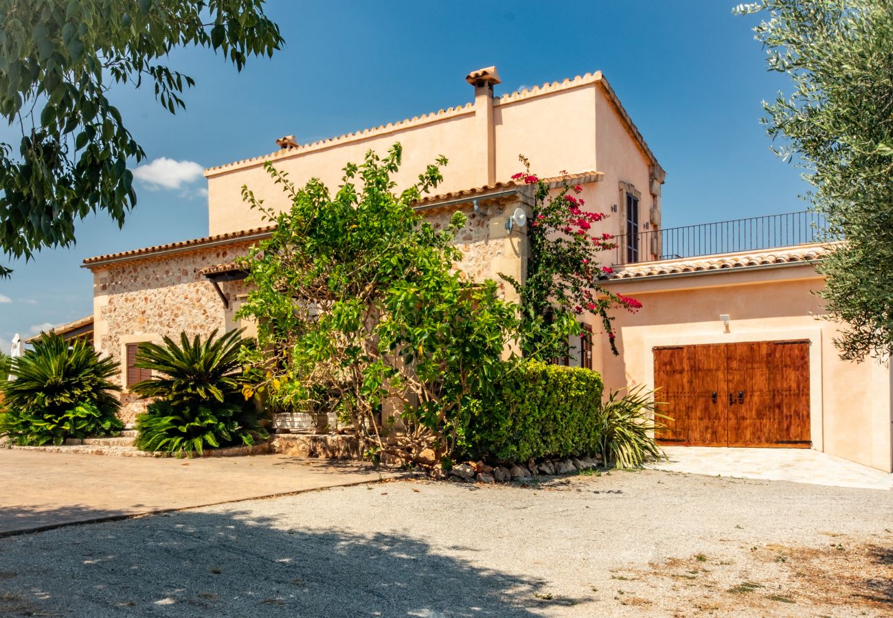 Finca in Can Picafort - C326 Carritx by Mallorca Villa Selection
