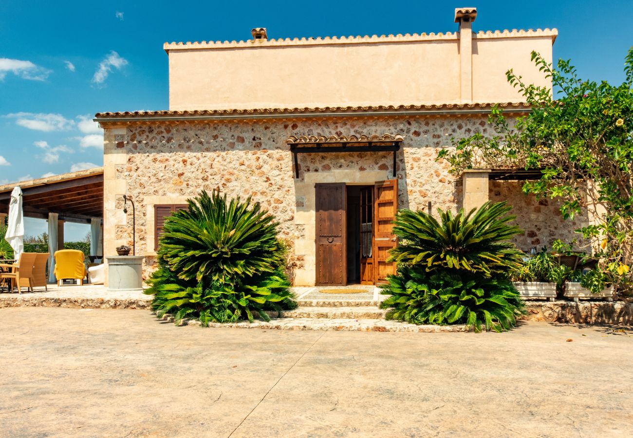 Finca in Can Picafort - C326 Carritx by Mallorca Villa Selection