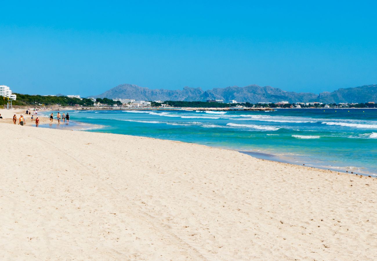 Stadthaus in Alcudia - C329 Estrella Verde by Mallorca Villa Selection
