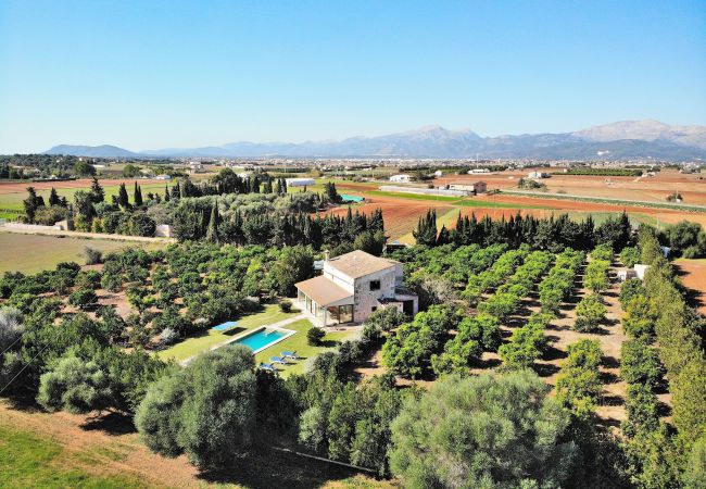 Finca in Muro - 108 Finca Son Morey Tarongers ETV/14340 by Mallorc Finca in Muro - 108 Finca Son Morey Tarongers ETV/14340 by Mallorc