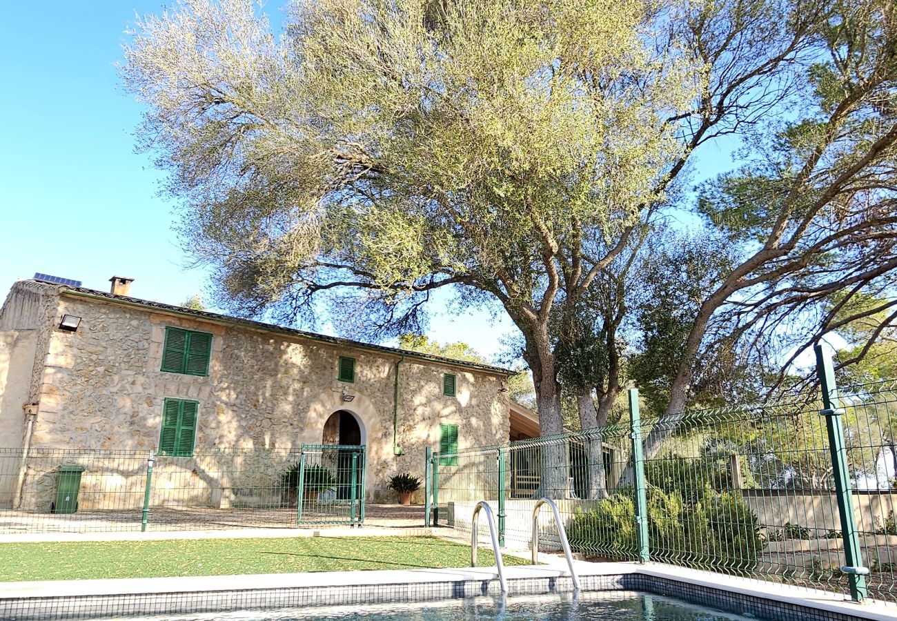 Villa in Maria de la salut - YourHouse Llampi