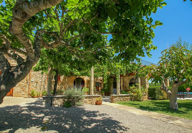 Finca in Pollensa / Pollença - Vivamont, Villa-Finca 5StarsHome Mallorca Finca in Pollensa / Pollença - Vivamont, Villa-Finca 5StarsHome Mallorca