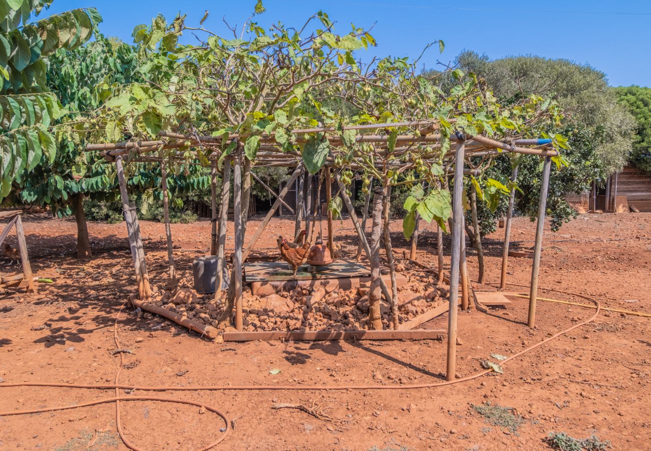 Finca in Cala Romantica - C363 Can Llorenc by Mallorca Villa Selection