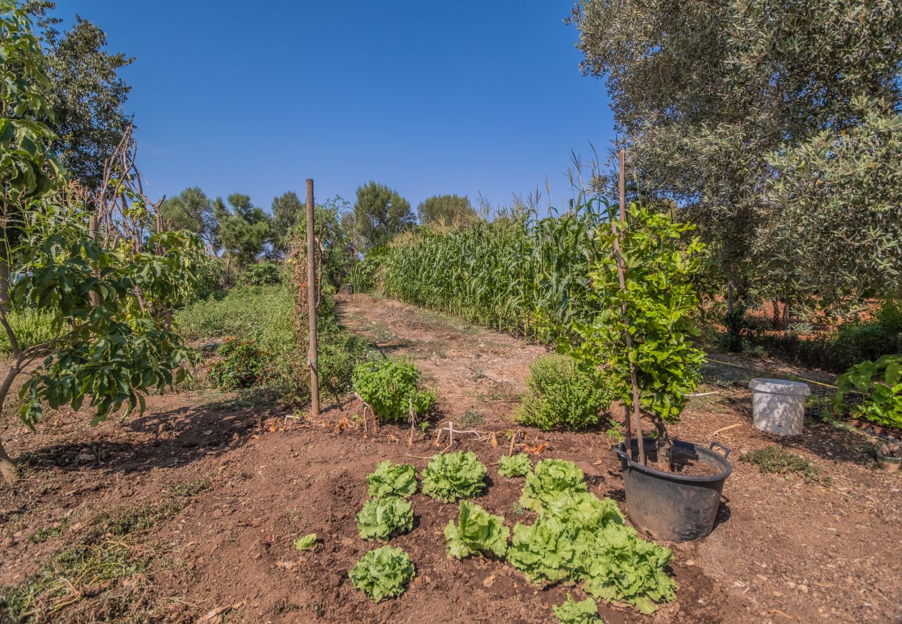 Finca in Cala Romantica - C363 Can Llorenc by Mallorca Villa Selection