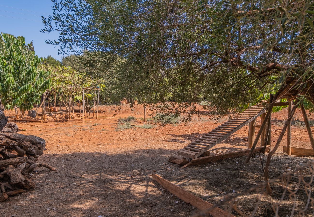 Finca in Cala Romantica - C363 Can Llorenc by Mallorca Villa Selection