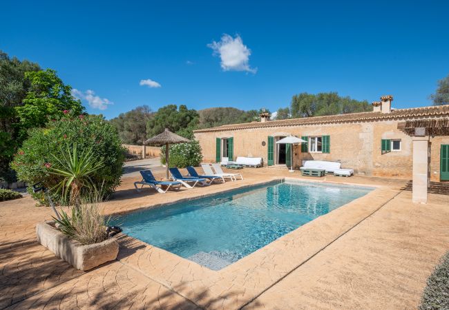 Landhaus in Manacor - Finca Cas Pastor (Son Josep)