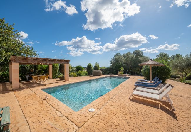 Landhaus in Manacor - Finca Cas Pastor (Son Josep)