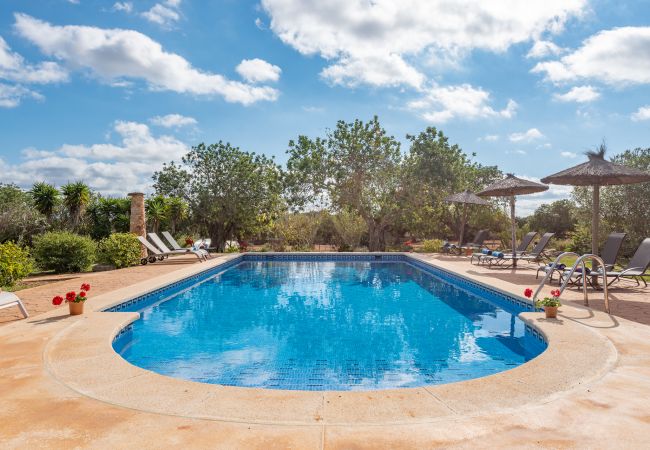 Landhaus in S´Alqueria Blanca - Finca Son Marimon (16 pax)