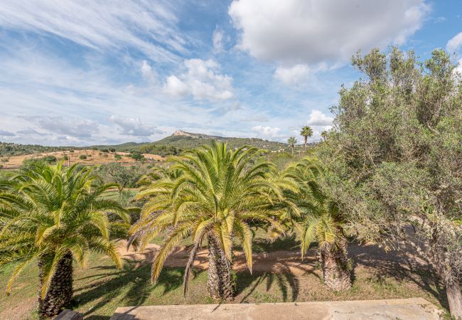 Ferienhaus in Manacor - Finca Sa Bassa Seca Ferienhaus in Manacor - Finca Sa Bassa Seca