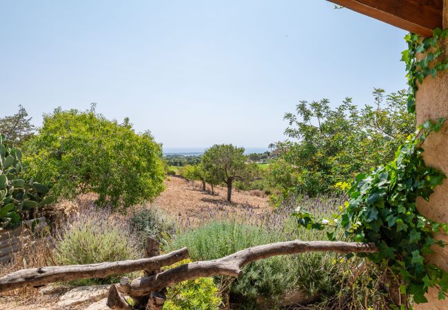 Ferienhaus in Portocolom - Finca Es Reguerons Petit Ferienhaus in Portocolom - Finca Es Reguerons Petit