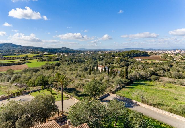Finca in Manacor - Esturonet, Finca 5StarsHome Mallorca Finca in Manacor - Esturonet, Finca 5StarsHome Mallorca