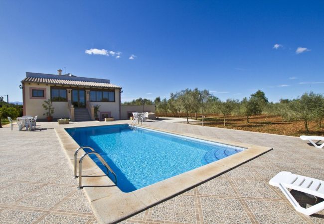 Villa in Ariany - YourHouse Can Nofre