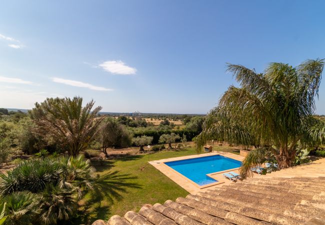 Finca in Ses Salines - Canvu, Finca 5StarsHome Mallorca Finca in Ses Salines - Canvu, Finca 5StarsHome Mallorca