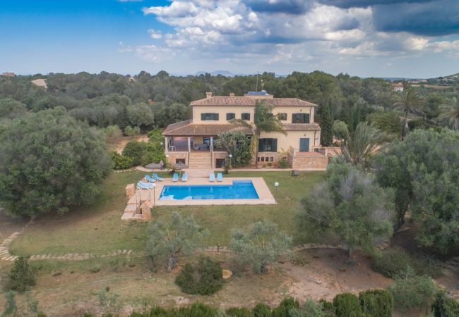 Finca in Ses Salines - Canvu, Finca 5StarsHome Mallorca Finca in Ses Salines - Canvu, Finca 5StarsHome Mallorca