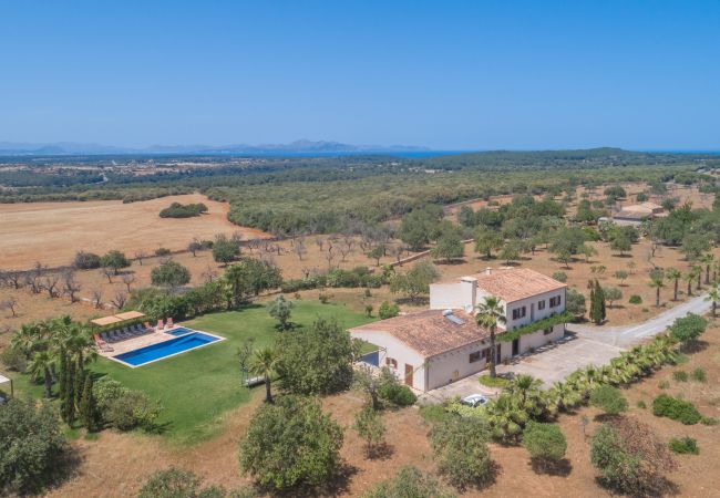 Finca in Petra - Saperla, Finca 5StarsHome Mallorca Finca in Petra - Saperla, Finca 5StarsHome Mallorca