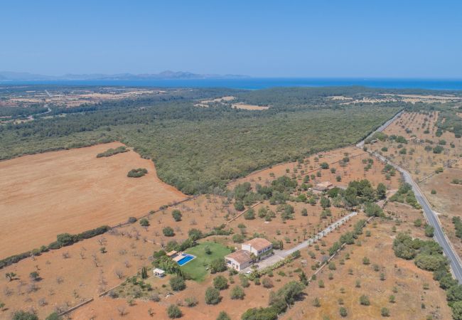 Finca in Petra - Saperla, Finca 5StarsHome Mallorca Finca in Petra - Saperla, Finca 5StarsHome Mallorca