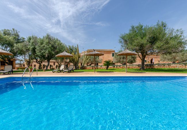 Agrotourismus in Campos - YourHouse Son Sala Agroturismo Vina Vella - doble Agrotourismus in Campos - YourHouse Son Sala Agroturismo Vina Vella - doble