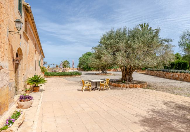 Agrotourismus in Campos - YourHouse Son Sala Agroturismo Vina Vella - doble Agrotourismus in Campos - YourHouse Son Sala Agroturismo Vina Vella - doble